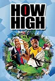 How High 2001 Dual Audio Hindi 480p FilmyMeet