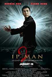 Ip Man 2 2010 Dual Audio Hindi 480p 300MB FilmyMeet